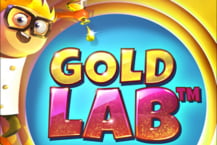 Gold Lab