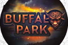 Buffalo Park