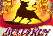 Bulls Run Wild