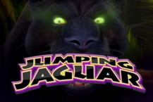 Jumping Jaguar