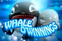 Whale O' Winnings