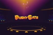 Pushy Cats