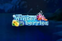 Winterberries
