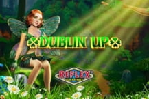 Dublin Up Doublemax