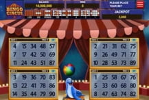 Bingo Circus