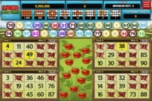 Bingo Hortinha