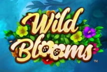 Wild Blooms
