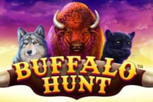 Buffalo Hunt