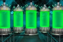 Zombie Lab