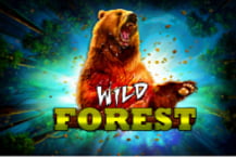 WILD FOREST - A47