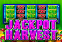 Jackpot Harvest