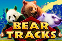 Bear Tracks