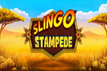 Slingo Stampede