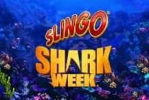 Slingo Shark Week