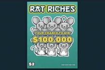 Rat Riches