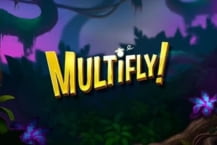 Multifly!