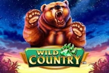 Wild Country