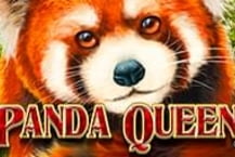 Panda Queen 9705