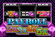 Payroll 2x3x4x5x 9660