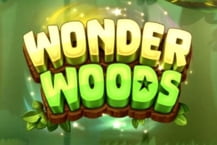 Wonder Woods