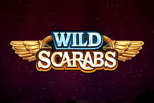 Wild Scarabs