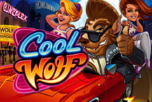 Cool Wolf