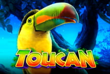 Toucan