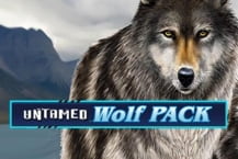 Untamed Wolf Pack