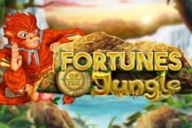 Fortunes of the Jungle