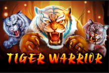 Tiger Warrior