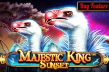 Majestic King – Sunset