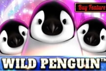 Wild Penguin