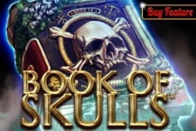 Book Of Skulls
