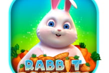 Rabbit Bonanza