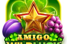 Amigo Wild Luck