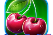 Amigo Fruits 5