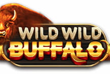 Wild Wild Buffalo