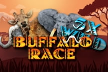 Buffalo Race