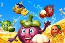 Fruit Paradise