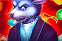 Dr.Mouse
