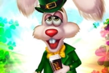 Drunk Rabbit