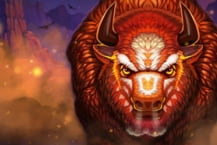 Bison Battle