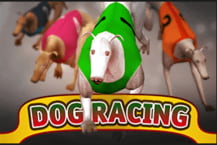 Dog Racing