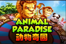Animal Paradise
