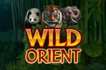 Wild Orient