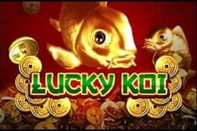 Lucky Koi