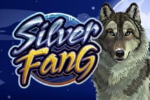 Silver Fang