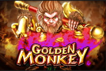 Golden Monkey