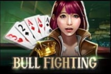 Bull Fighting