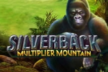 Silverback Multiplier Mountain